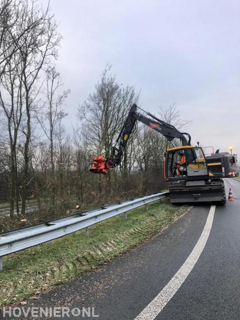 Boomen rooien langs snelweg