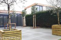 Achtertuin met leibomen en houten plantenbakken