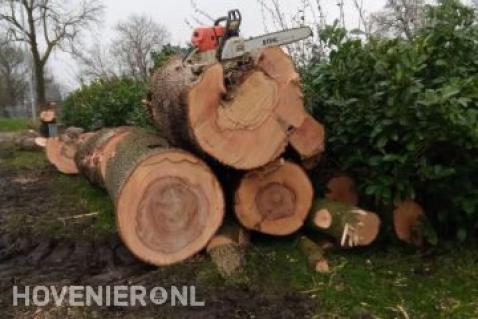 Bomen kappen