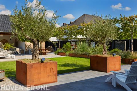 moderne tuin met olijfboom via tuinontwerp met tuinadvies-florera.nl