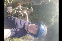 Boomonderhoud Betuwe