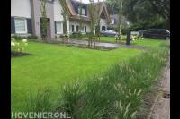 Villa met gazon, jonge bomen en borders met siergras en rozen