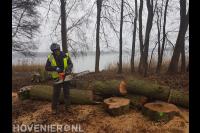 Maton Boomverzorging