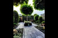 "Tuinonderhoud: wij houden uw tuin het hele jaar mooi"