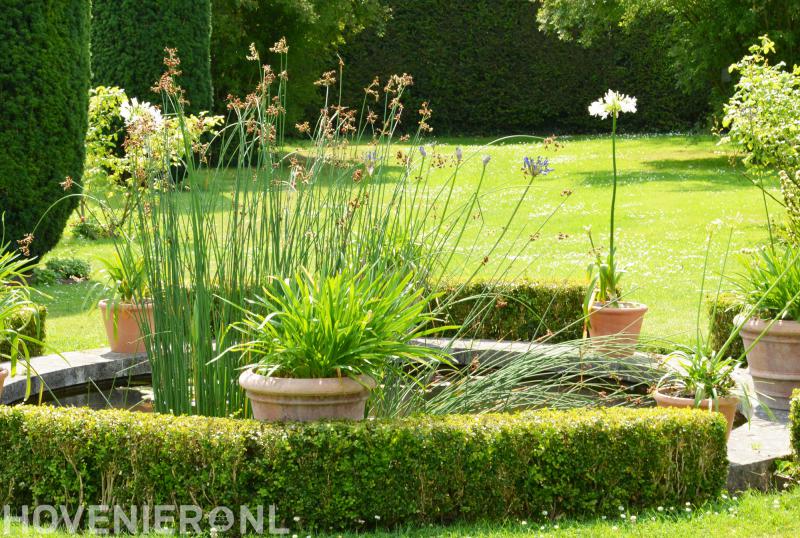 Hoveniersbedrijf Mark van Dalen