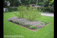 Ruime tuin met groot gazon en vijver