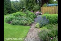Groene tuin met gazon en kleurrijke planten
