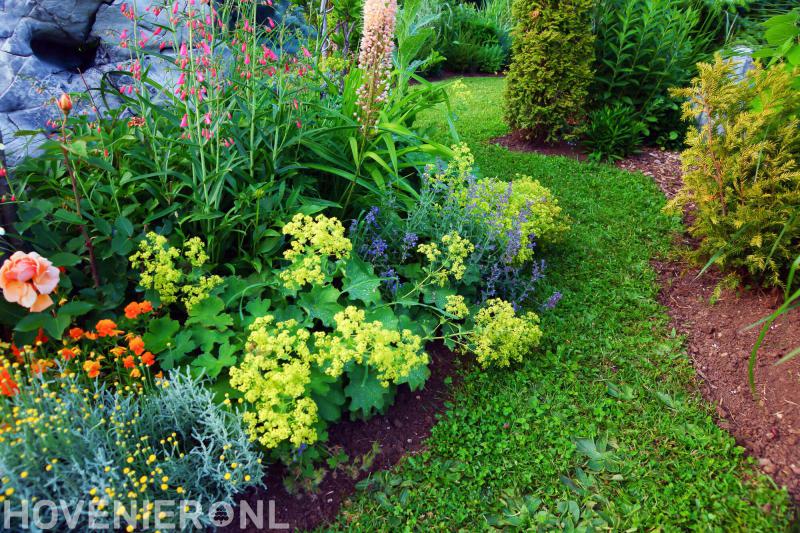 De Groene Hovenier Aduard