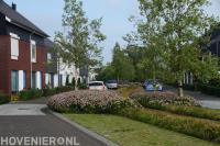 Onderhouden van openbaar groen in woonwijk 1