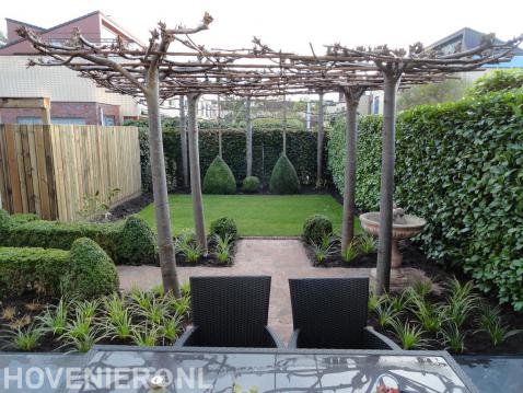 Kleine tuin met gazon en terras met dakplatanen