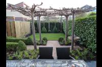 Kleine tuin met gazon en terras met dakplatanen