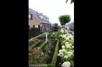 Hortensia's, bolcatalpa's en buxus in voortuin