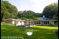 Villatuin met gazon en dakplatanen bij vijver 1