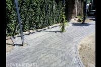 Straatwerk van gebakken klinkers