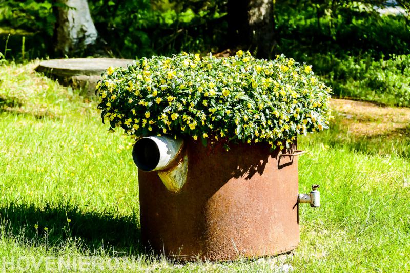 Sjoerd de Jong Hovenier