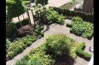 Groene voortuin met pergola en leibomen