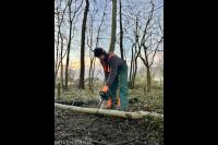 Théodore Tuinonderhoud