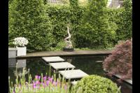 Vijver met stapstenen en vlonder 1