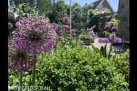 Arjan Bakker - Tuinen