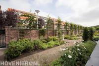 Tuinafscheiding van leibomen voor gemetselde muur