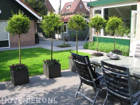 Achtertuin met gazon en terras met boompjes in bloembakken