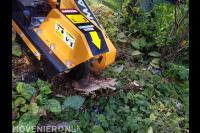 Boomstronk verwijderen met stobbenfrees