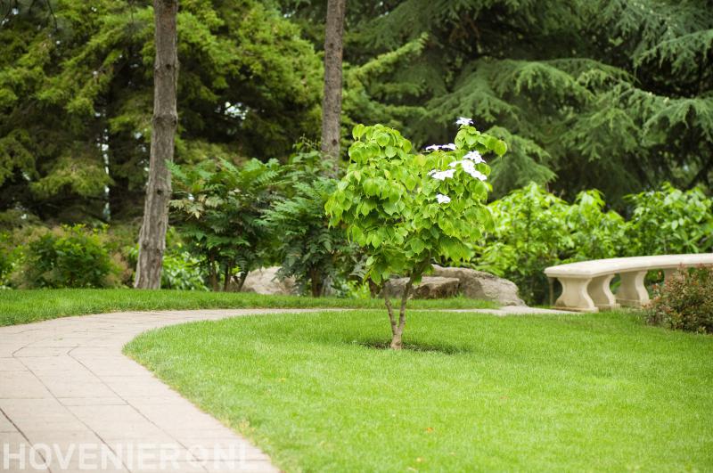 Hoveniersbedrijf M. van Dam