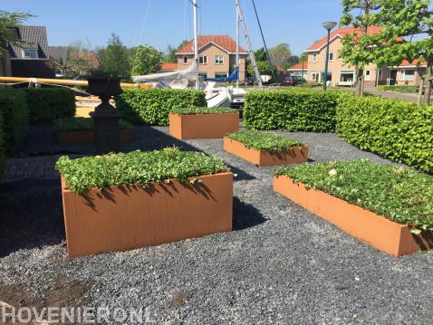 Onderhoudsarme tuin met basaltsplit en cortenstaal plantenbakken