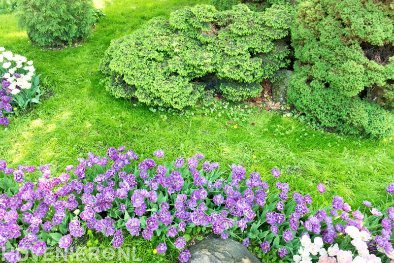 Gijs van Hedel Hoveniers