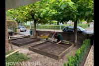 Hoveniersbedrijf Rozengaerde