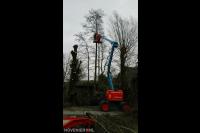 Maton Boomverzorging