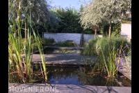 Vijver met watermuur en omgeven door beplanting