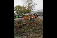 Maton Boomverzorging