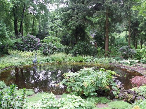 Groene tuin met natuurlijke vijver