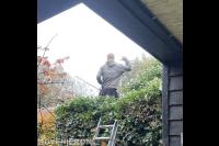 Heins Dienstverlening