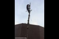 Boom kappen met behulp van klimtechnieken