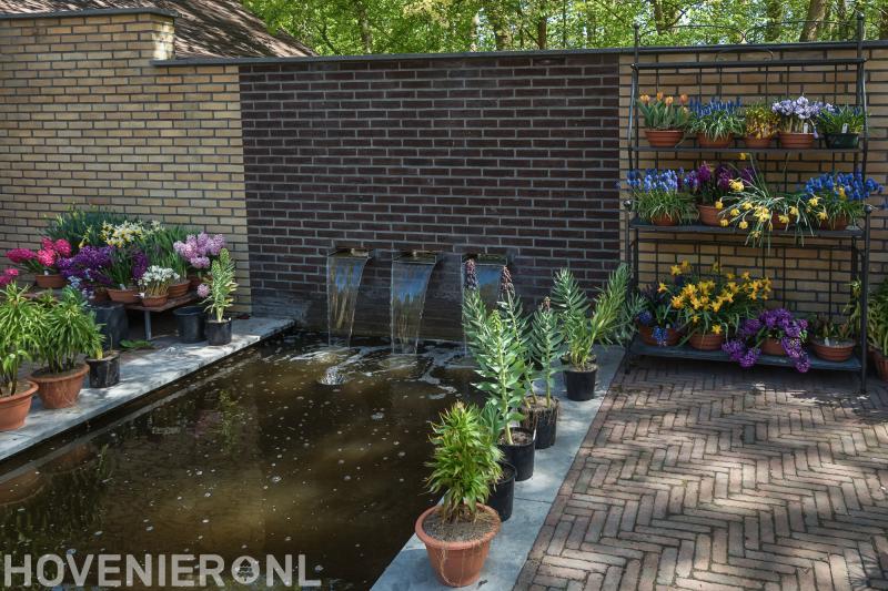 Veldscholten Hoveniers