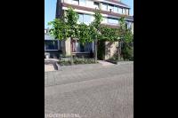 Leibomen in voortuin