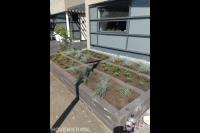 Plantenbak van stapelblokken met siergras