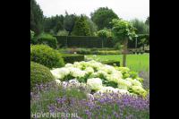 Ruime villatuin met groot gazon en veel groen 2