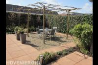 Terras met dakplatanen