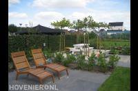 Terras met ligstoelen en zithoek met jonge dakplatanen