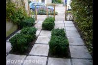 Onderhoudsarme voortuin 2