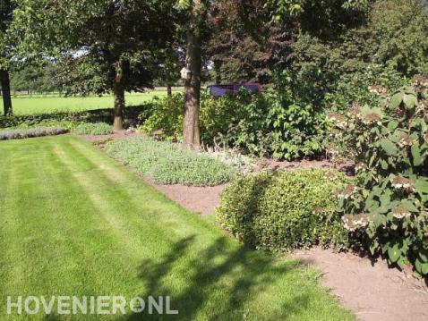 Tuinonderhoud: gras maaien en onkruid verwijderen