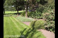 Tuinonderhoud: gras maaien en onkruid verwijderen