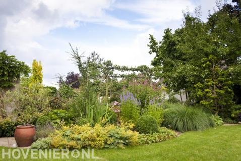 Border met kleurrijke beplanting en leibomen