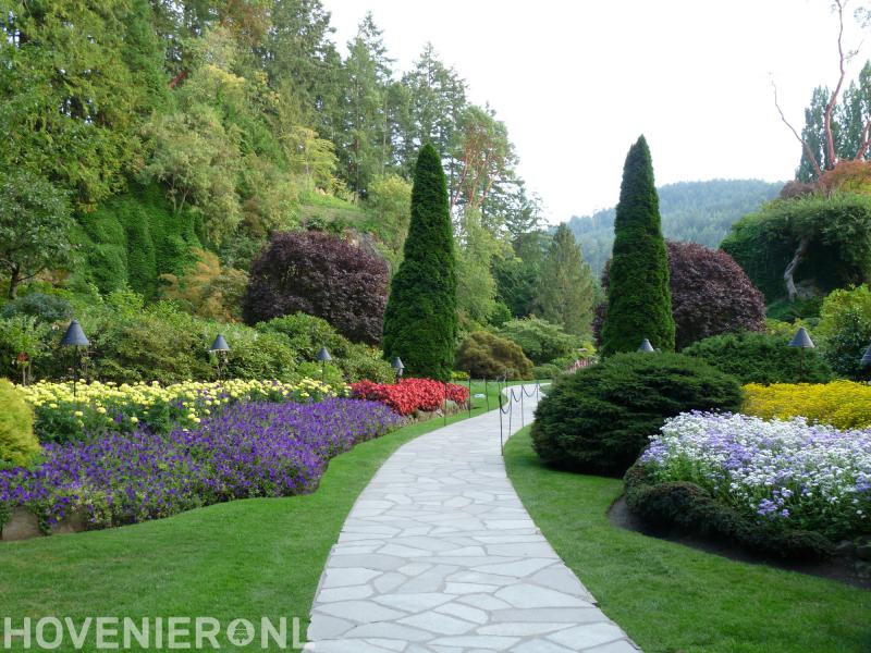 Vuister Tuinonderhoud & Advies