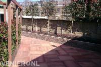 Tuin met pergola en leibomen in verhoogde plantenbak