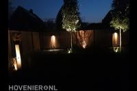 Buitenverlichting met spots onder bomen en op schutting 1