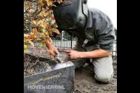 Hoveniersbedrijf Moreeco